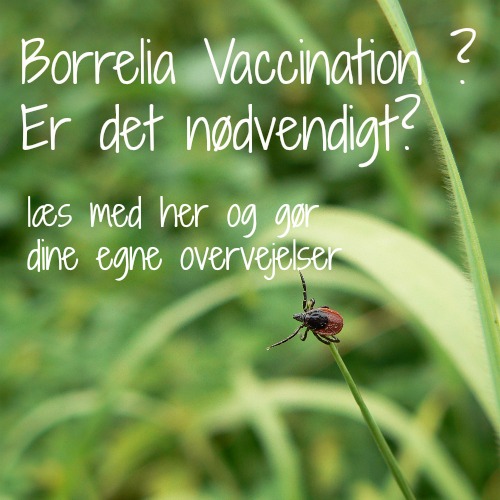 Borrelia vaccination er det jeg skal - Niverød Dyreklinik